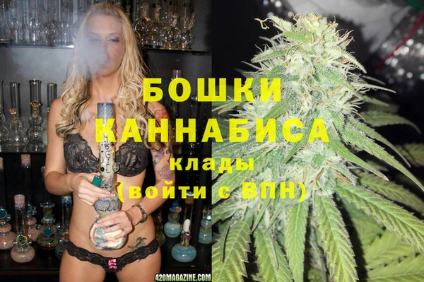 стафф Алзамай