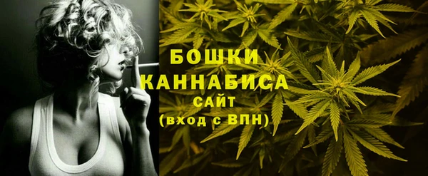 индика Лиски