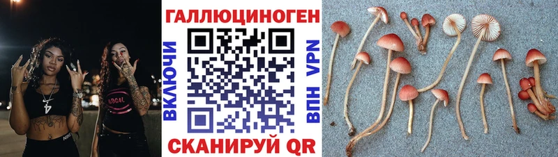 наркотики  гидра   Псилоцибиновые грибы мицелий  Печоры 